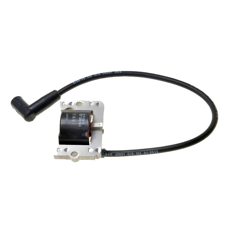 Ignition Module 4758403S