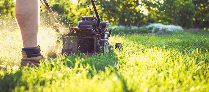 Landscaping and gardening tools on a table