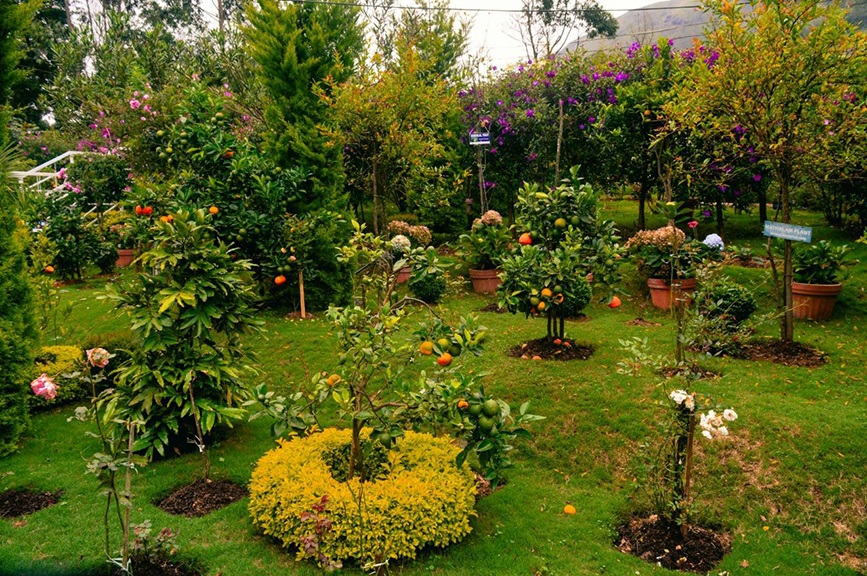 “Garden
