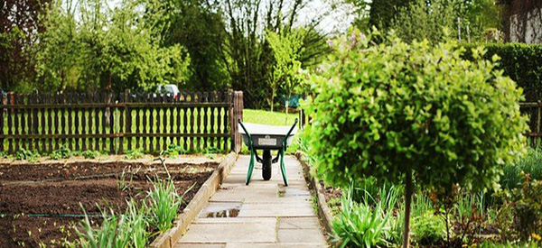 Spring Wheel barrow in garden