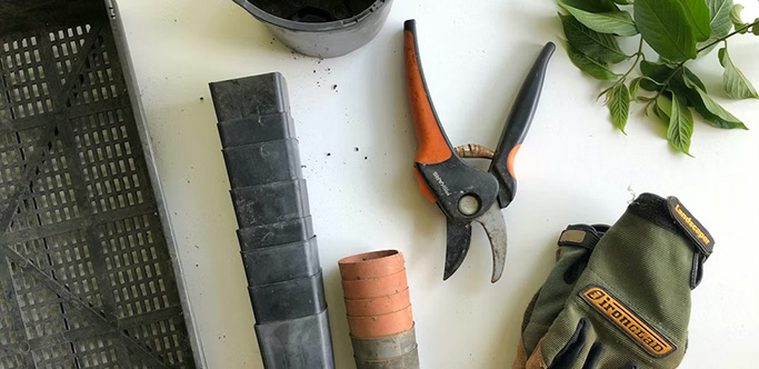 Landscaping and gardening tools on a table