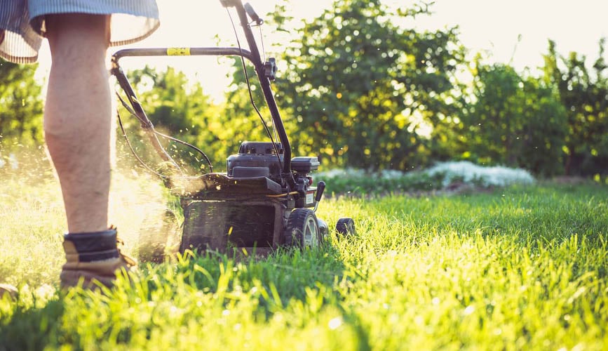 “Man Mowing Grass During Sunset