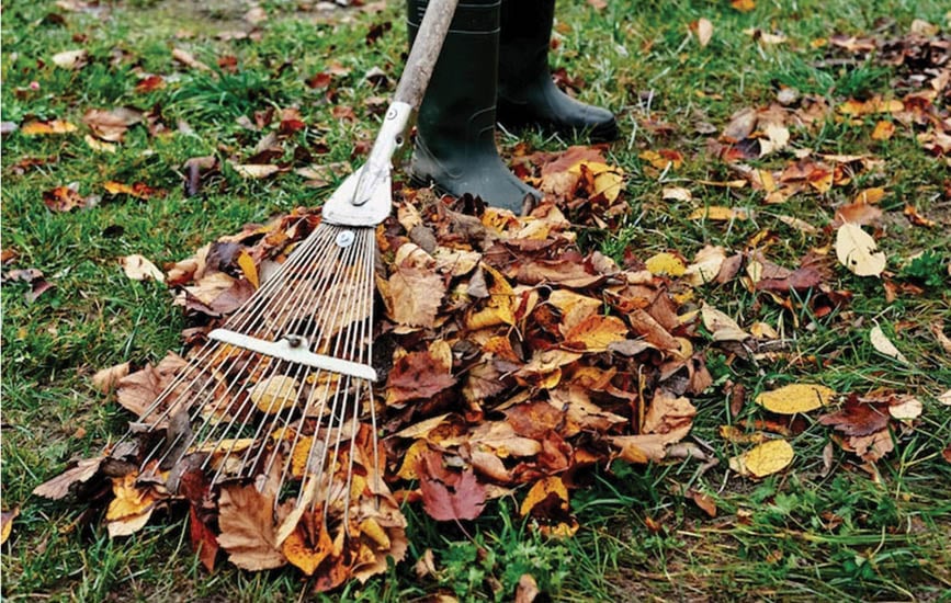 “Raking
