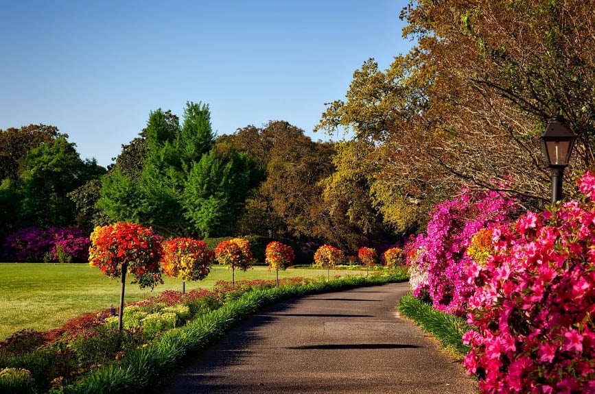 “Colorful