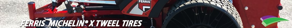 Ferris Tweel