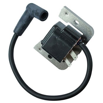 Ignition Module 2458415S