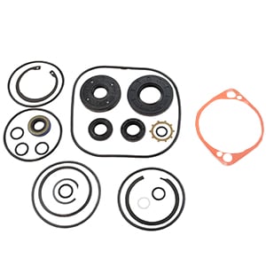 Overhaul Seal Kit 100-6110