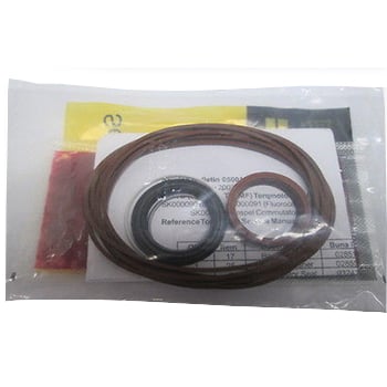 Wheel Drive Motor Seal Kit 100-6131