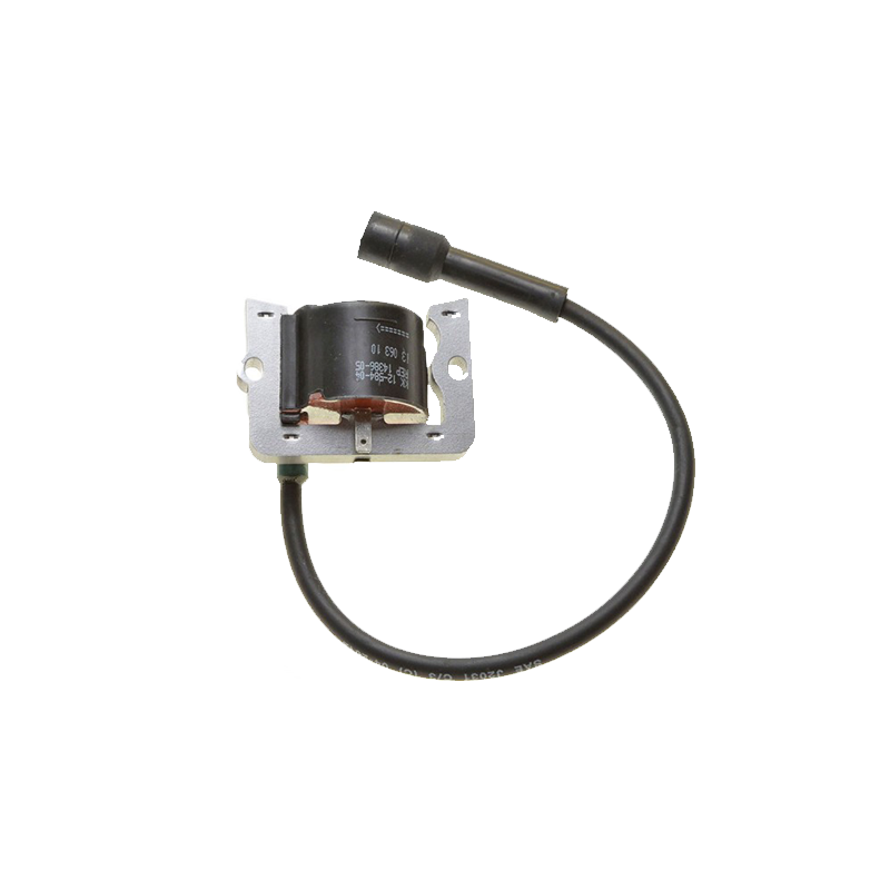 Ignition Module 1258404S