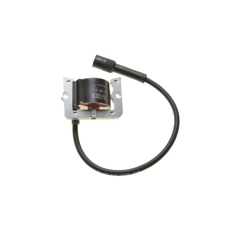 Ignition Module 1258404S