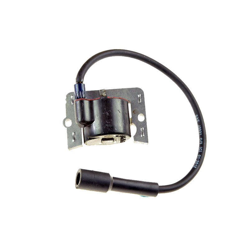 Ignition Module 1258405S