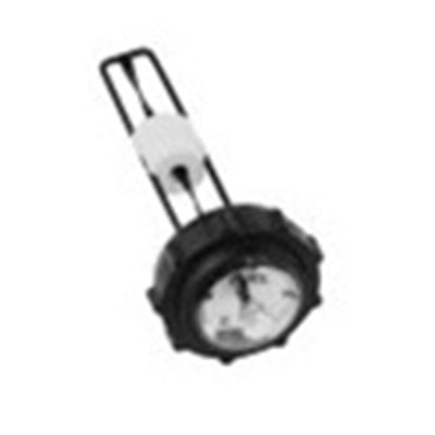 Fuel Cap W/ Gauge 25 173 21-S