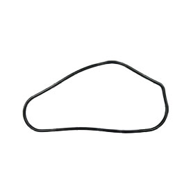 Gasket 11009-2505