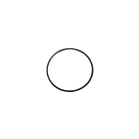Gasket 11009-2919