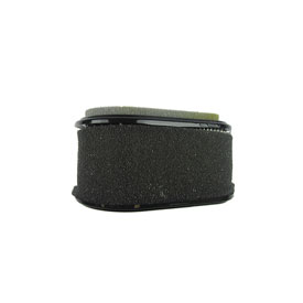 Element Assembly Air Filter 11029-2010
