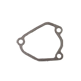 Gasket 11060-2035