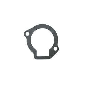 Gasket 11060-2099
