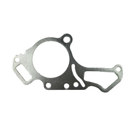 Gasket Water Pump 11061-2089