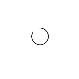 Kohler Retainer Piston Pin 24 018 01-S