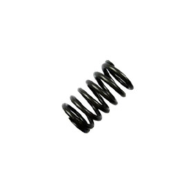 Kohler Spring Valve