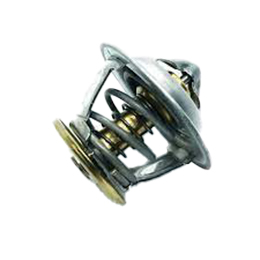 Water Thermostat ED0091951240-S