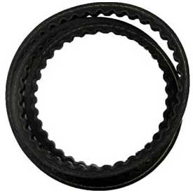 Belt, Pump Drive 483520