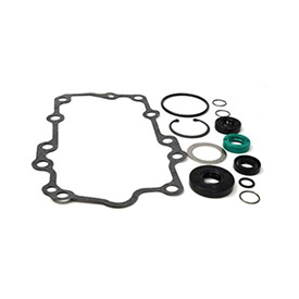 Overhaul Seal Kit