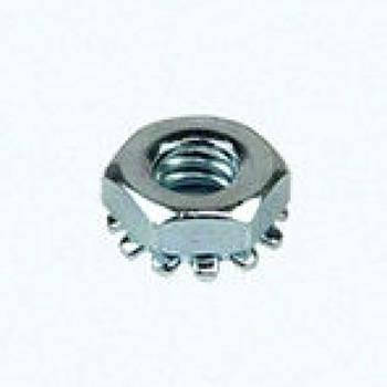 Walker 10 24 KEPS NUT