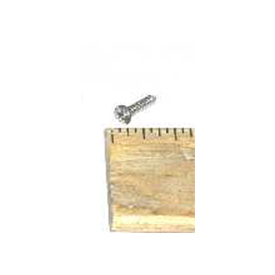 #2X3/8 Ppsm Screw Ss F099