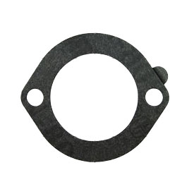 Genuine Briggs &amp; Stratton Parts