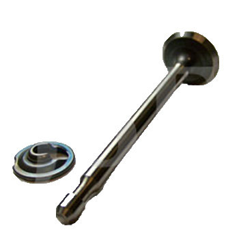 Valve Intake 296677
