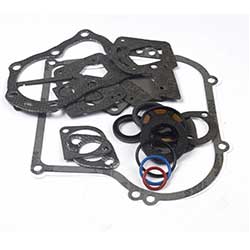 Gasket Set Engine 495603