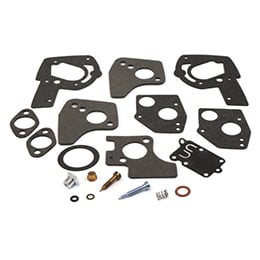 Kit Carb Overhaul 495606
