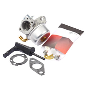 Carburetor 591299