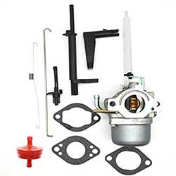 Carburetor 796122