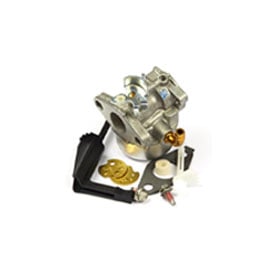 Carburetor 798653