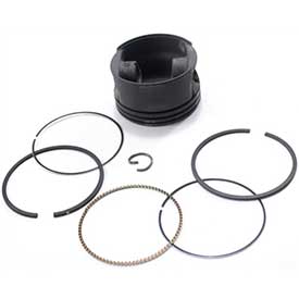 Piston Asm Rings &amp; BS-799064