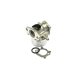 Carburetor 799868