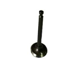 Valve, Intake 14711-ZM5-000