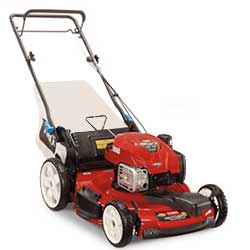 22 in. Toro Recycler Mower 21462