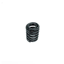 Z-Spray 135-5654 Spring-Compression LT Rich 83067