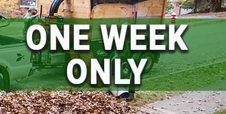 Click here to read about our open house deals this week